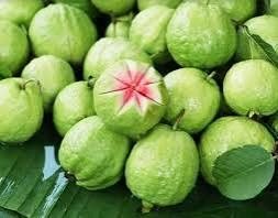 Guavas, pale green fruit stacked on leaves with one cut to show pink flesh