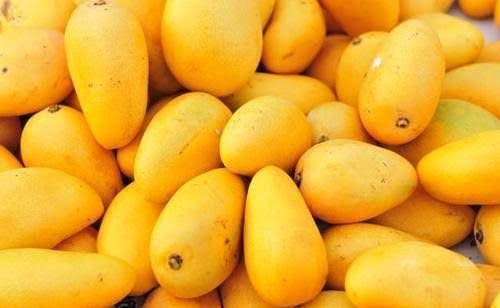 Mangoes, a heap of ripe yellow fruit